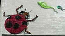 ladybug designs